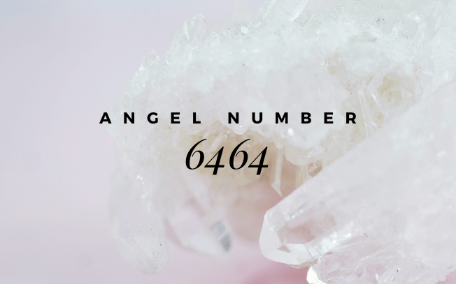 Angel number 6464.
