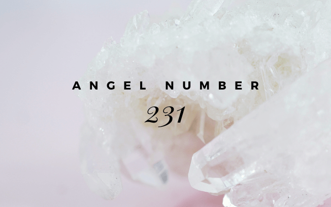 angel number 231