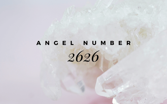 Angel number 2626.