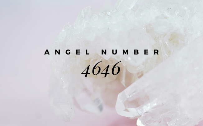 Angel number 4646.