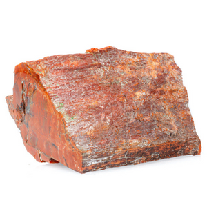 Petrified wood.